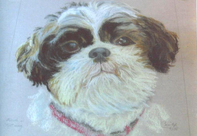 Cecily Wood Drawing