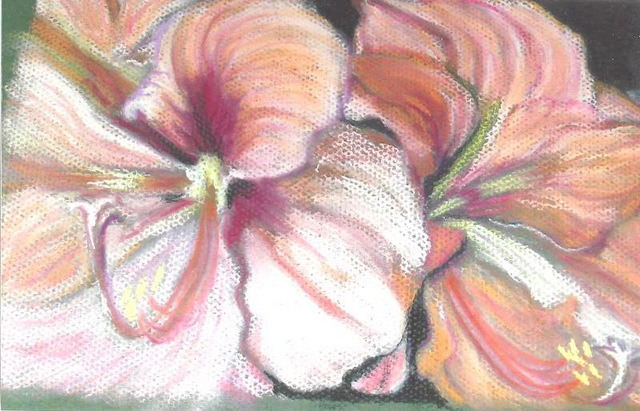 Cecily Wood Drawing